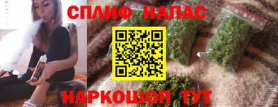прущие грибы Абинск