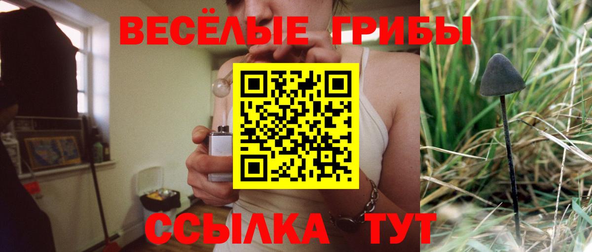Галлюциногенные грибы прущие грибы  Псилоцибиновые грибы Magic Shrooms  Вход с VPN  Анапа 